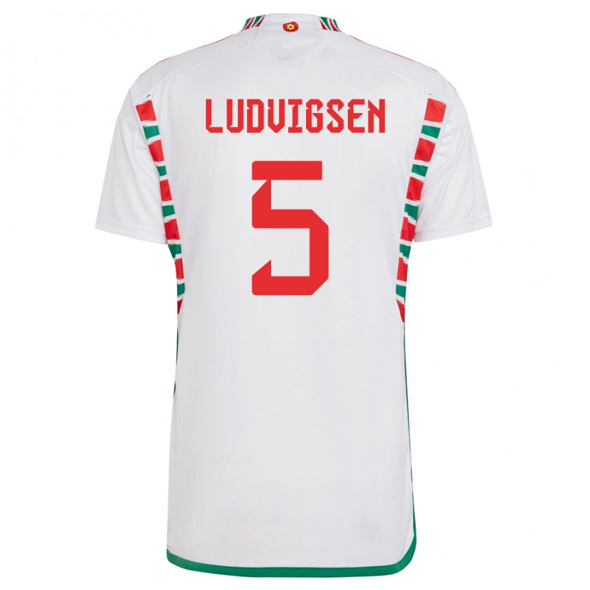 Børn Wales Kai Ludvigsen #5 Hvid Udebane Spillertrøjer 22-24 Trøje T-shirt