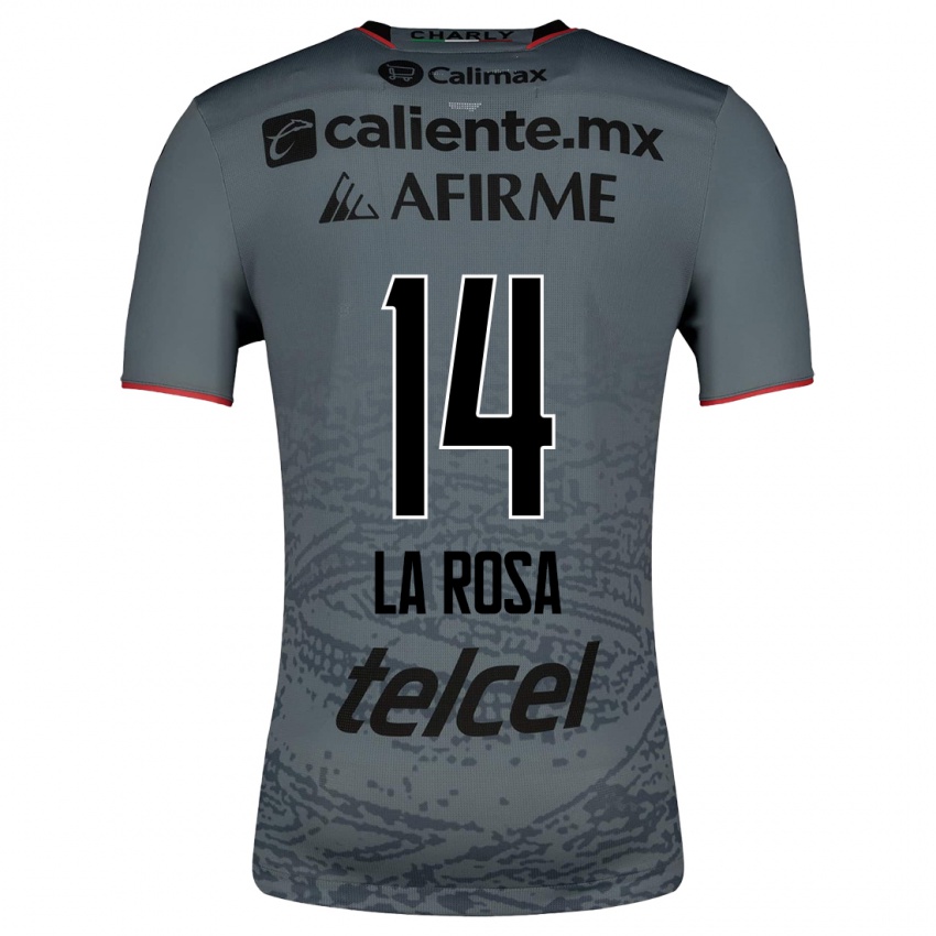 Mænd Joselyn De La Rosa #14 Grå Udebane Spillertrøjer 2023/24 Trøje T-Shirt