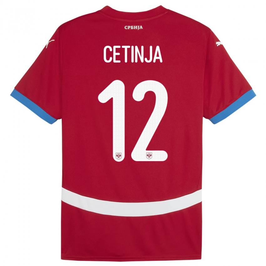 Børn Serbien Sara Cetinja #12 Rød Hjemmebane Spillertrøjer 24-26 Trøje T-Shirt