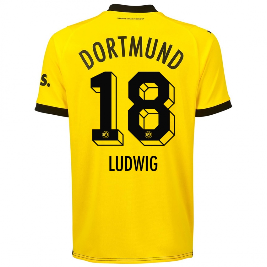 Mænd Michel Ludwig #18 Gul Hjemmebane Spillertrøjer 2023/24 Trøje T-Shirt